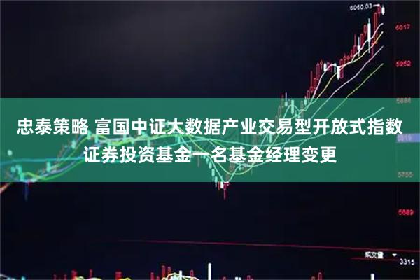 忠泰策略 富国中证大数据产业交易型开放式指数证券投资基金一名基金经理变更