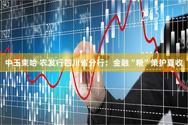 中玉束哈 农发行四川省分行:金融“粮”策护夏收