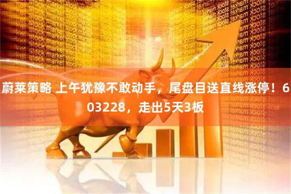 蔚莱策略 上午犹豫不敢动手，尾盘目送直线涨停！603228，走出5天3板