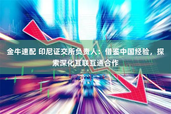 金牛速配 印尼证交所负责人：借鉴中国经验，探索深化互联互通合作